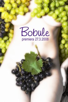 Ягоды (2008) Bobule