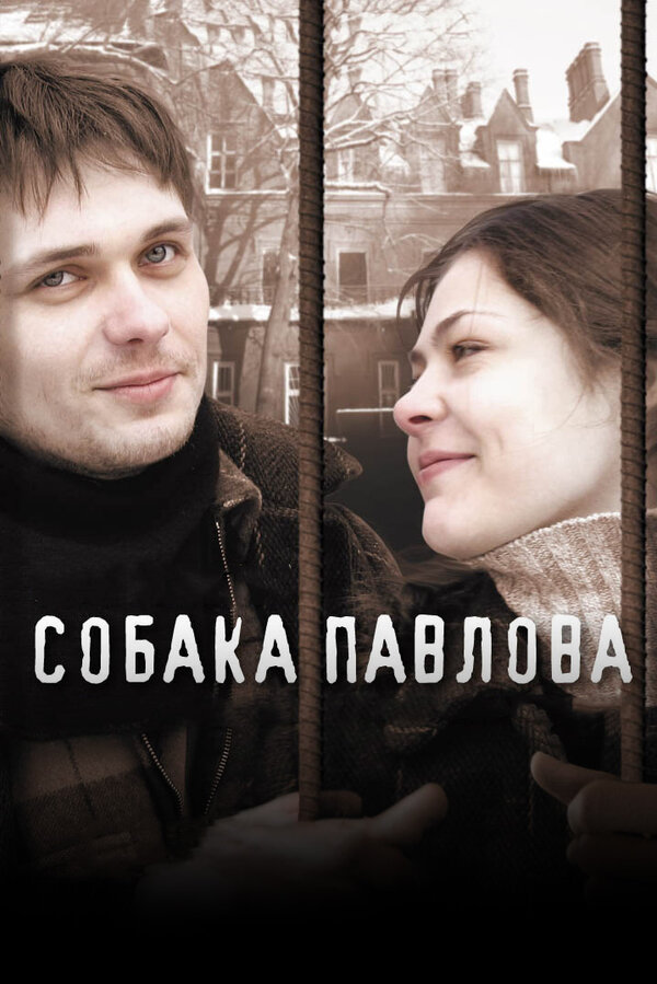  Собака Павлова (2005) 