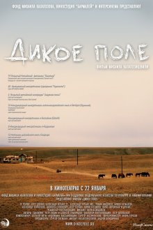  Дикое поле (2008) 