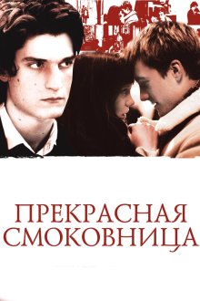  Прекрасная смоковница (2008) La belle personne