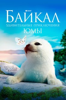  Байкал. Удивительные приключения Юмы (2019) 