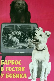  Барбос в гостях у Бобика (1964) 
