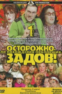  Осторожно, Задов! или Похождения прапорщика (2004) 