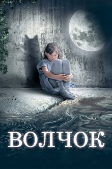 Волчок (2009) 