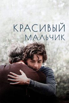  Красивый мальчик (2018) Beautiful Boy