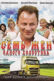  Семь жен одного холостяка (2009) 