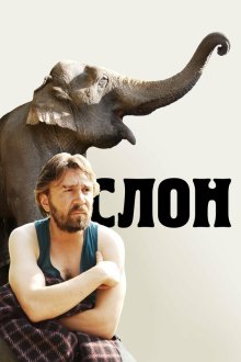  Слон (2010) 