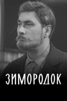  Зимородок (1972) 