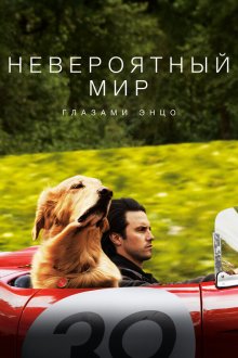 Невероятный мир глазами Энцо (2019) The Art of Racing in the Rain