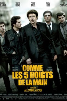  Как пять пальцев (2010) Comme les cinq doigts de la main