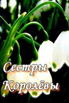  Сестры Королевы (2010) 