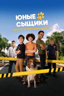  Юные сыщики. Дело об исчезнувших щенках (2025) Pet Investigators