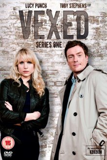  Несовместимые (2010) Vexed 