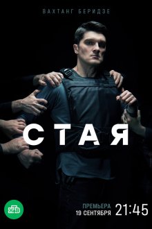  Стая (2022) 