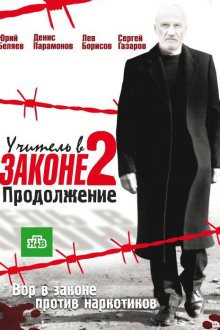  Учитель в законе (2010) 