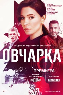 Овчарка (2024-2026)