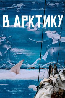  В Арктику (2023) 