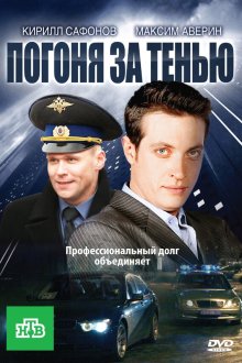  Погоня за тенью (2010) 