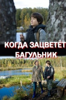  Когда зацветёт багульник (2010) 