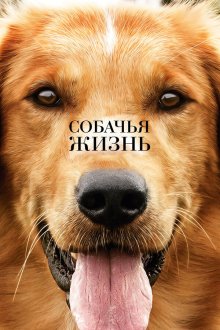  Собачья жизнь (2017) A Dog's Purpose
