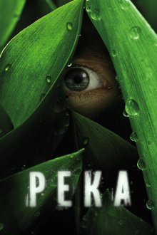  Река (2012) The River 