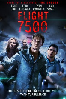  7500 (2014) Flight 7500