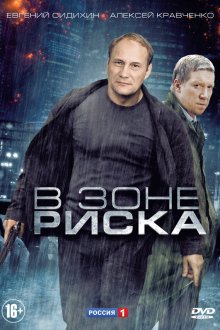 В зоне риска (2012) 