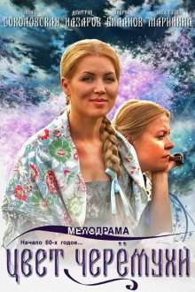  Цвет черемухи (2012) 
