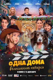  Одна дома: Великолепная пятерка (2024) 