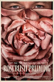 Подрезка кустов роз (2026) Rosebush Pruning