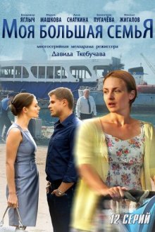  Моя большая семья (2012) 