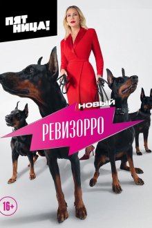 Новый ревизорро (2025-2026)