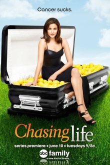  Погоня за жизнью (2014) Chasing Life 
