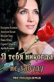  Я тебя никогда не забуду (2013) 