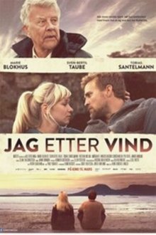  Погоня за ветром (2013) Jag etter vind