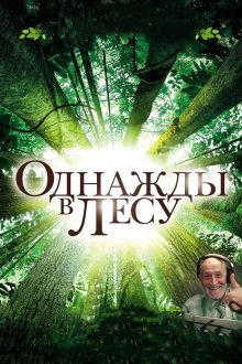  Однажды в лесу (2013) Once in the Forest