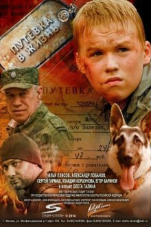  Путевка в жизнь (2013) 