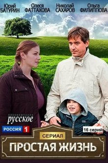  Простая жизнь (2013) 