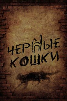  Черные кошки (2013) 
