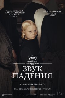  Звук падения (2025) In die Sonne schauen