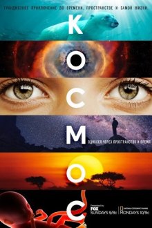  Космос: Пространство и время (2014) Cosmos: A Spacetime Odyssey 