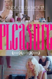  Удовольствие (2013) Pleasure