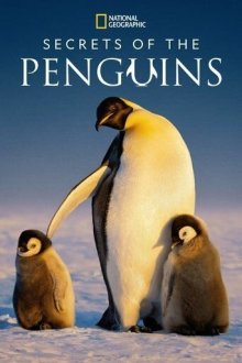  Тайны пингвинов (2025) Secrets of the Penguins