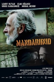  Мандарины (2013) Mandariinid