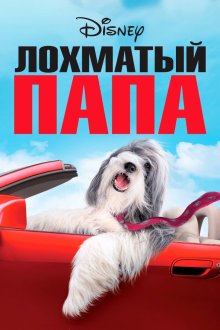  Лохматый папа (2006) The Shaggy Dog