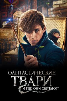  Фантастические твари и где они обитают (2016) Fantastic Beasts and Where to Find Them