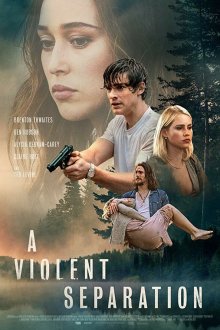  Насильственное разделение (2019) A Violent Separation