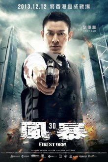  Огненная буря (2013) Fung bou