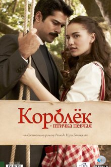  Королёк – птичка певчая (2013) Çalikusu 