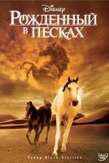  Рожденный в песках (2003) Young Black Stallion